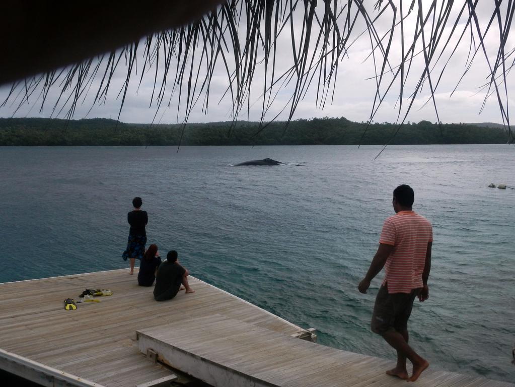 Tongan Beach Resort Utungake Екстериор снимка